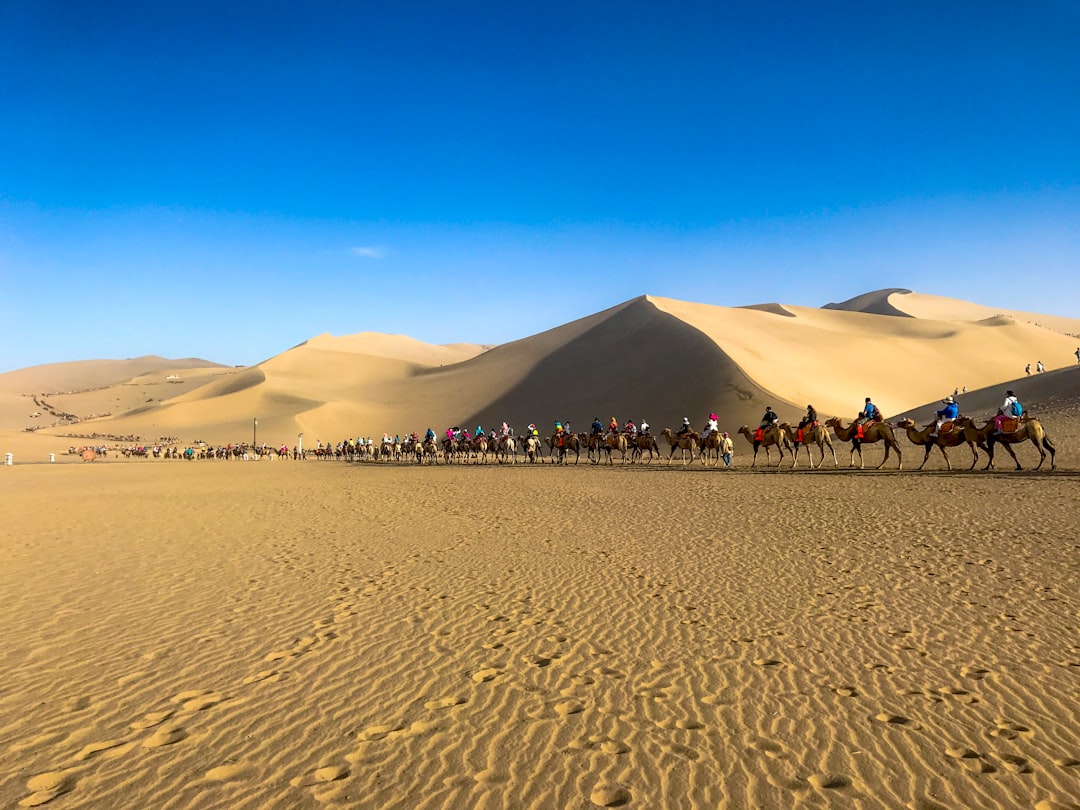 Top Desert Adventures in Africa: From Sahara to Namib