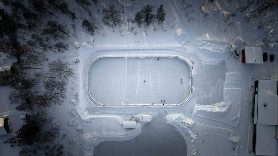 Las Vegas Presidents Day Hockey Tournament: A Weekend of Exciting Action